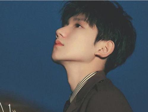 任嘉伦最新爆料王源,揭秘王源背后的故事与成长历程  第3张